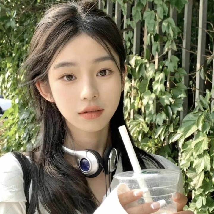 疯狂的蠢贼